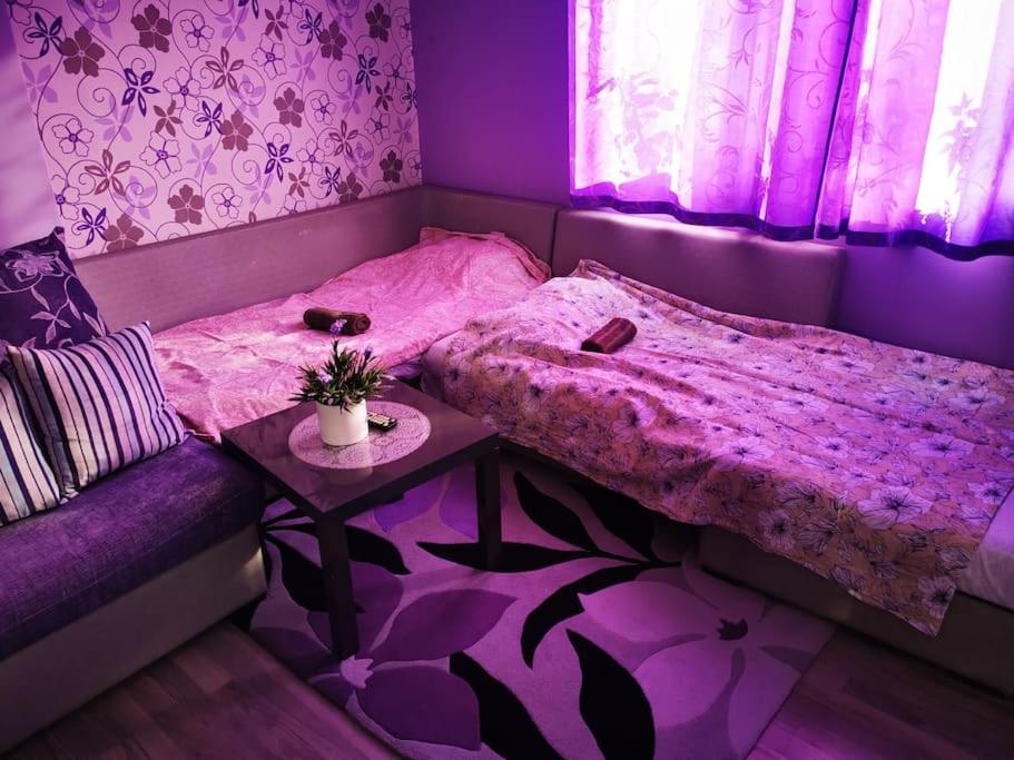 Apartment Lavender, Near To Airport Sofia Luaran gambar